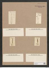 Navicula icostauron (Ehr.?) (de-Toni-Nr.: Genus 1, Species 384) Zeichnungen Sammlung Grunow Nr. 860 (NHMW-BOT-W0367306)